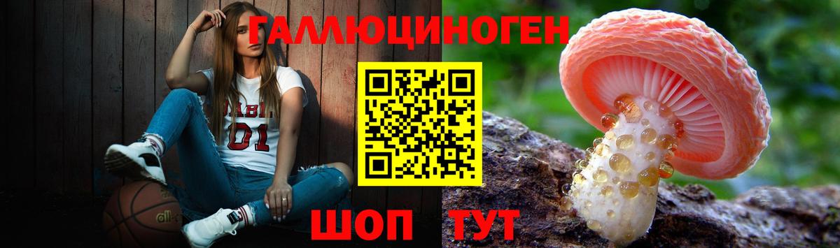 Галлюциногенные грибы Cubensis  Псилоцибиновые грибы прущие грибы  Горячий Ключ  Вход с VPN 
